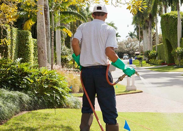About Scipio Center NY Pest Control